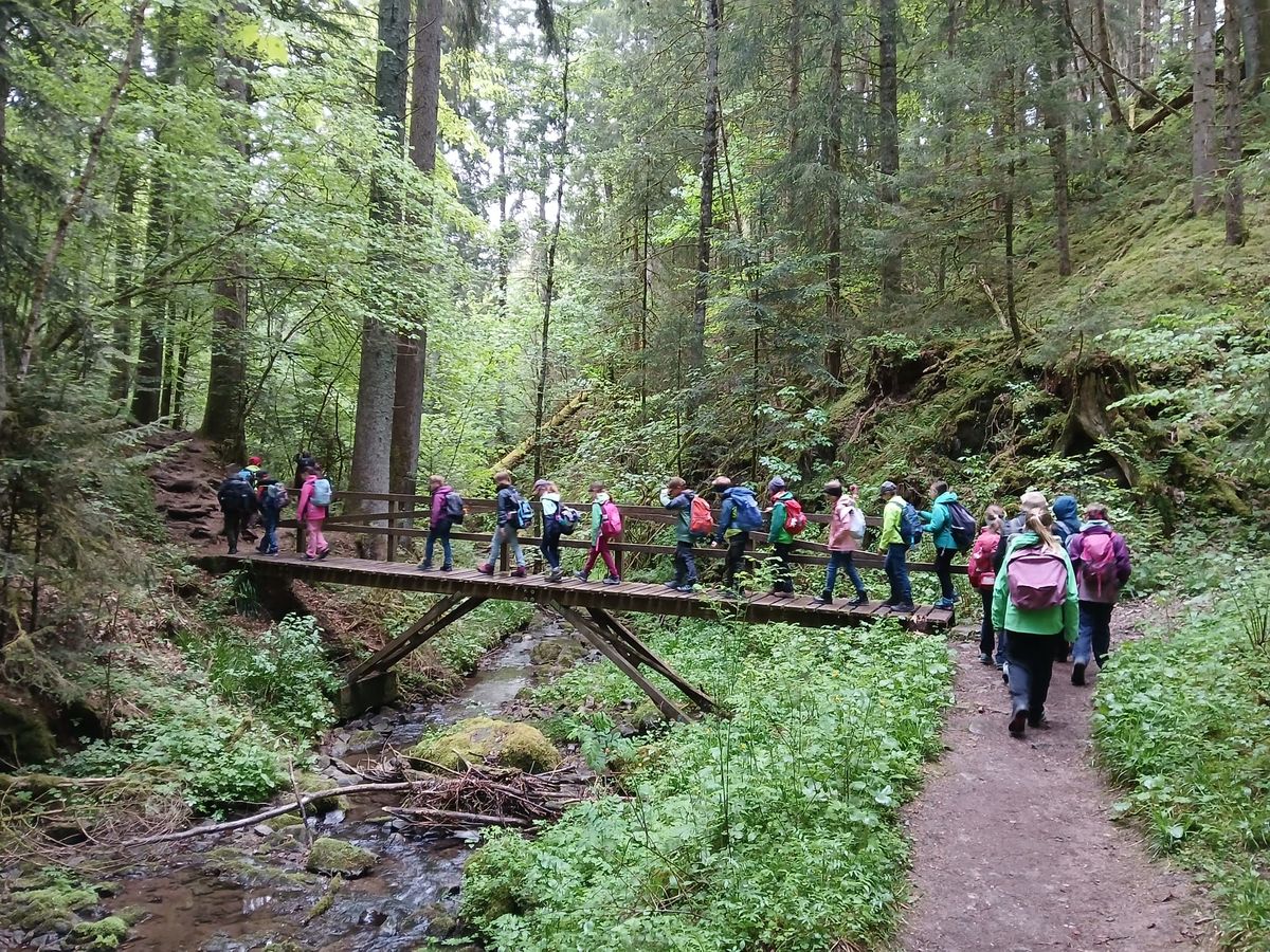 31c0dd17-264f-4262-b4db-c1ed2d12cd88