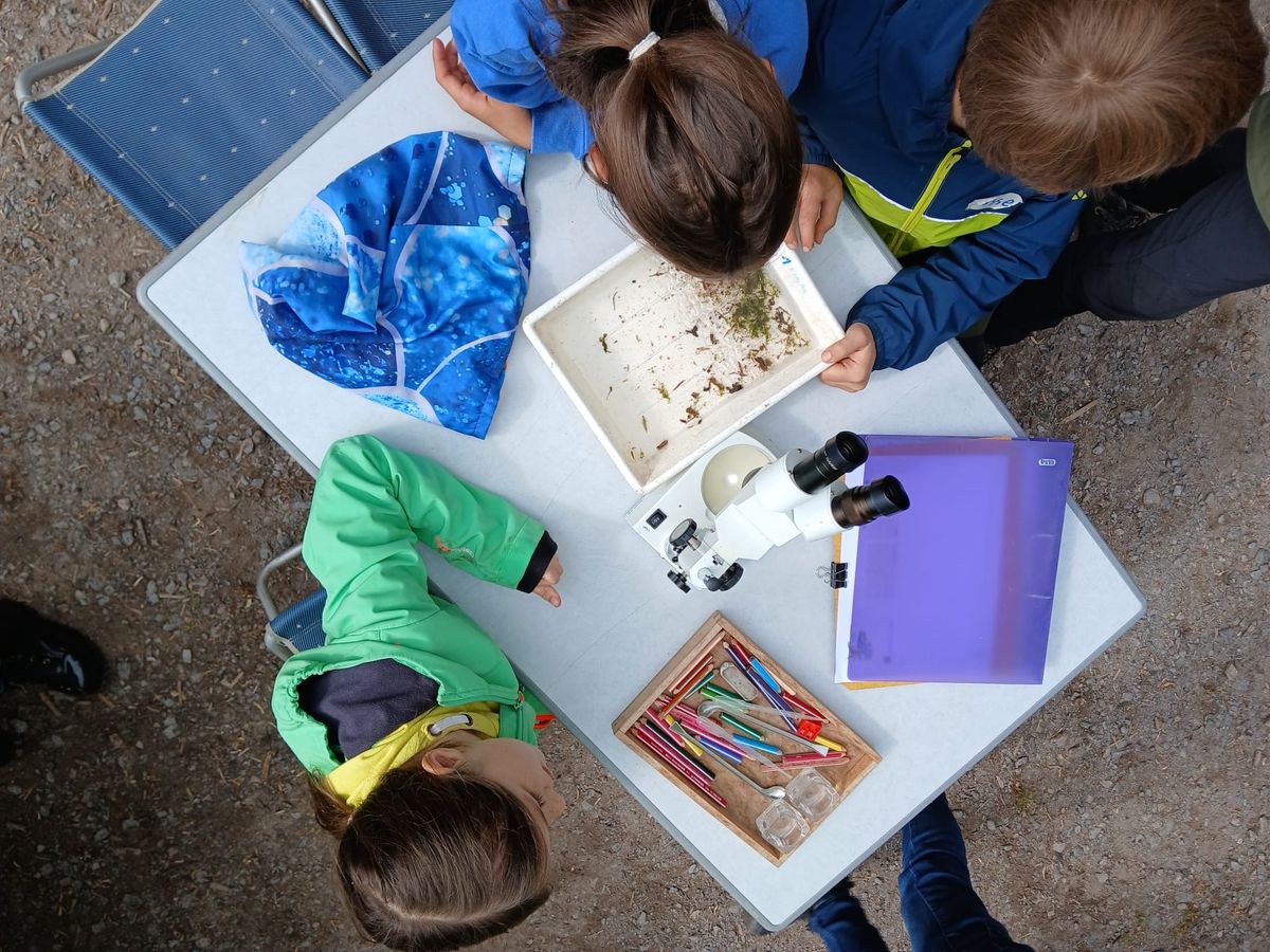 3b65ca96-8c07-49af-9362-15c9d9764086