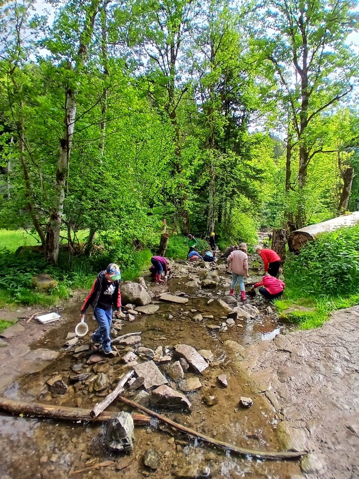 cc6db7d6-e02c-41e9-a9e6-4b1c702af2f6