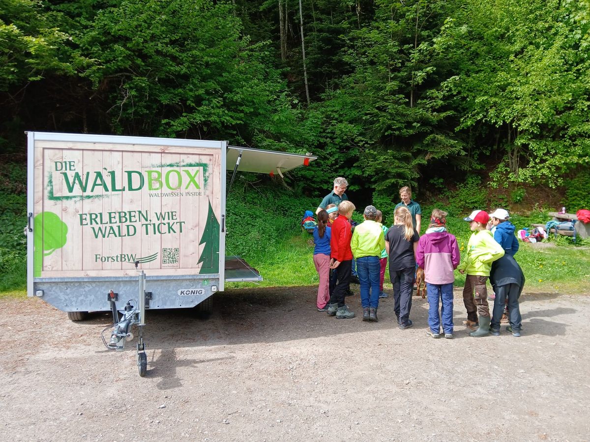 ed160a9a-f976-4535-92bf-c74a6c9850f9